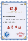 重庆市数字政府建设单位